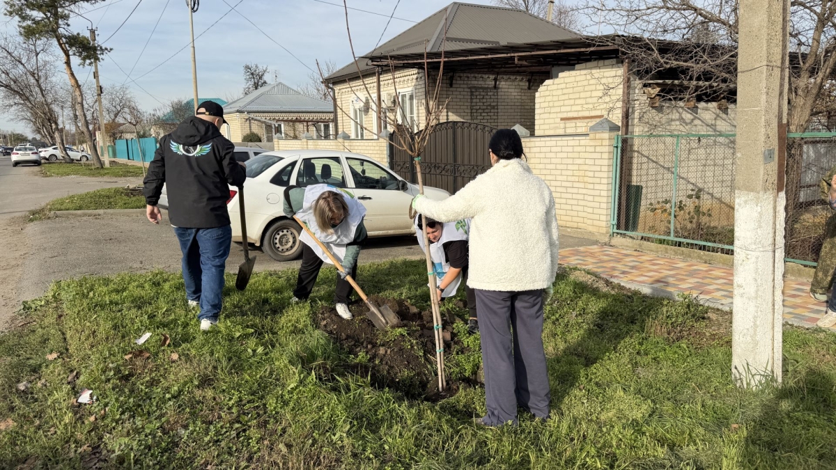 В Кочубеевском округе стартовала самая масштабная за 40 лет высадка деревьев В Кочубеевском округе стартовала самая масштабная за 40 лет высадка деревьев