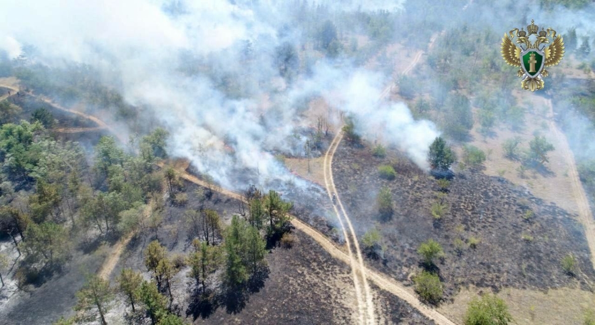 На Ставрополье наказали виновных в пожаре на горе Куцай