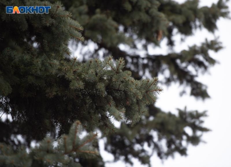 Резкое похолодание до +1 градуса пообещали ставропольцам уже в конце рабочей недели