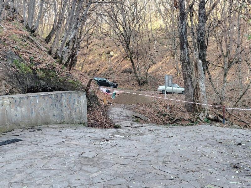 Территорию Таманского леса благоустроят в Ставрополе Территорию Таманского леса благоустроят в Ставрополе