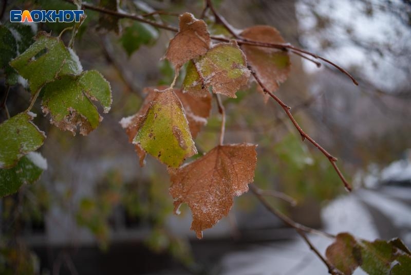 Разбег от 0 до +21 возьмет погода в начале рабочей недели на Ставрополье