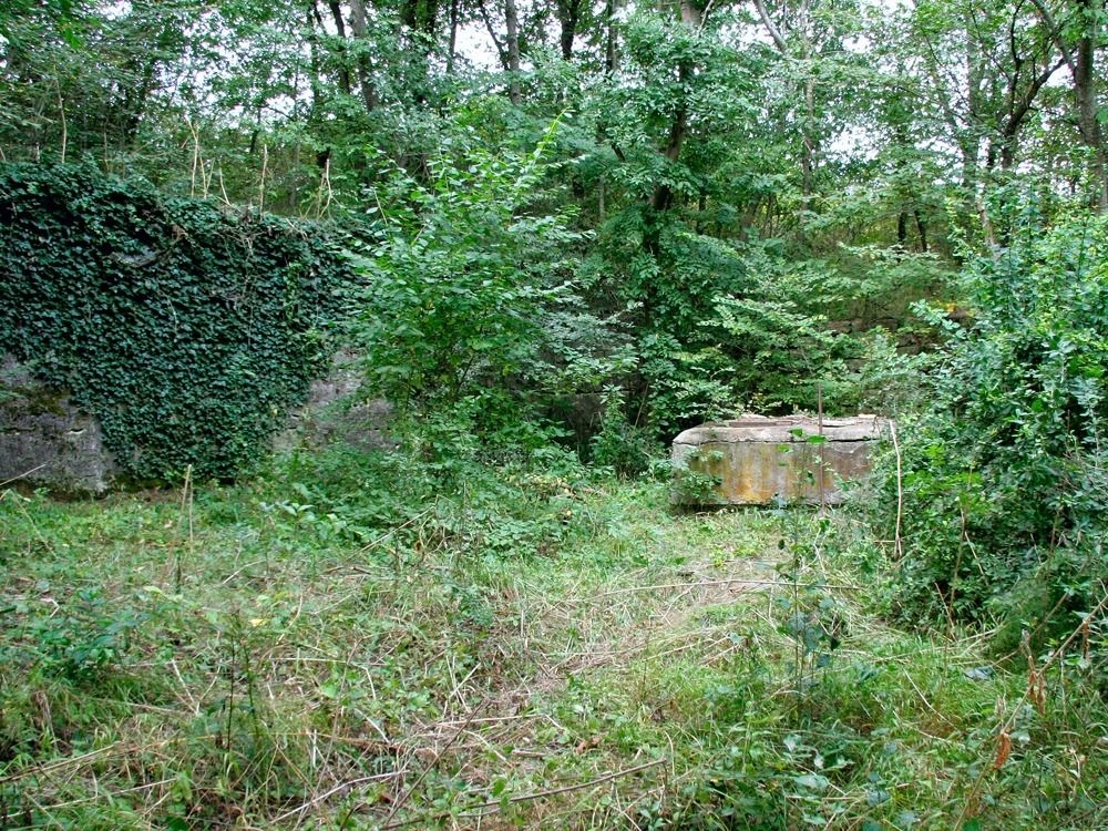 Баталинский минеральный источник в Железноводске получил охранную зону