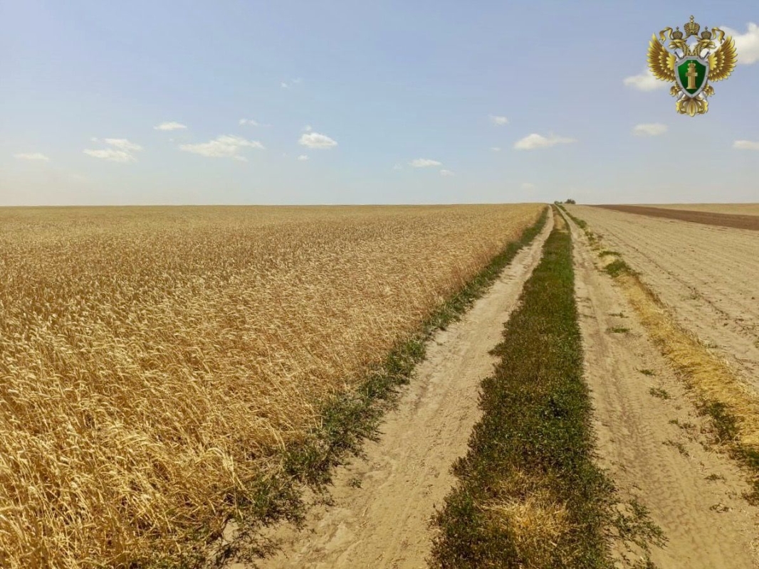 Ставропольского предпринимателя оштрафовали на 50 тыс. рублей за нарушение рекультивации земель