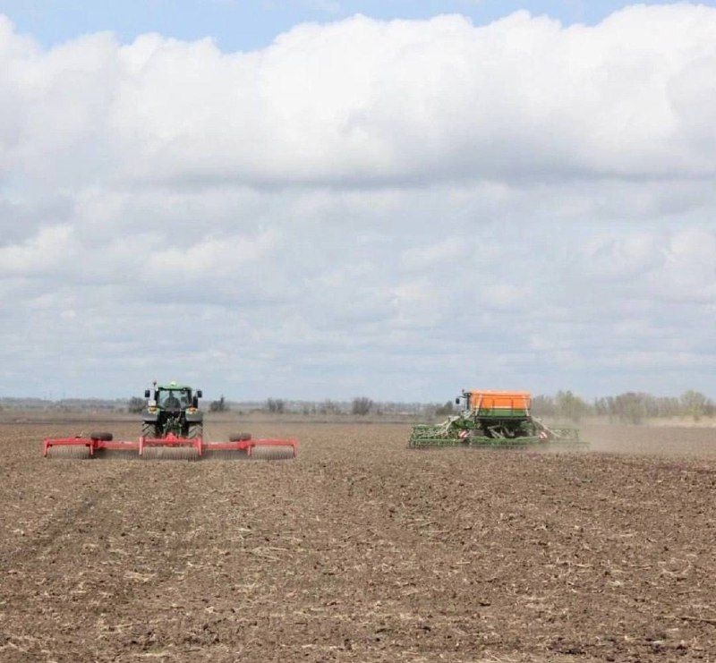 На Ставрополье наполовину завершили сев озимых