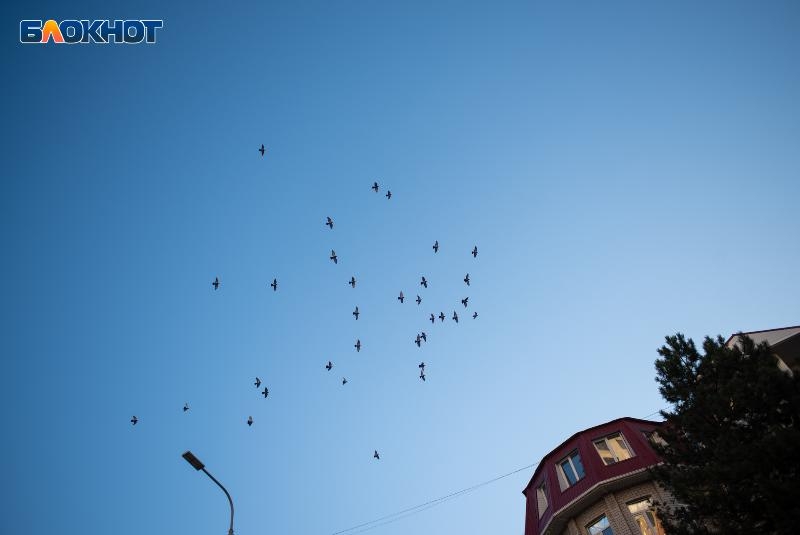 Дожди и +5 градусов ночью пообещали в начале рабочей недели синоптики на Ставрополье