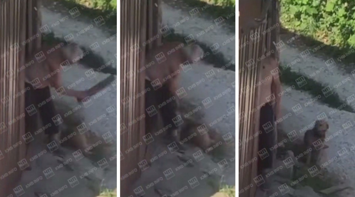 В Кисловодске полиция заинтересовалась живодером В Кисловодске полиция заинтересовалась живодером