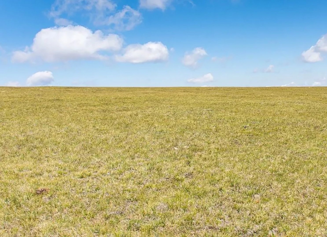 Лжеовощевода осудили за аферу на 2 млн рублей Лжеовощевода осудили за аферу на 2 млн рублей