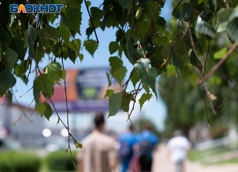 Дождь и погодные контрасты от +11 и до +30 окатят Ставрополье в начале рабочей недели Дождь и погодные контрасты от +11 и до +30 окатят Ставрополье в начале рабочей недели