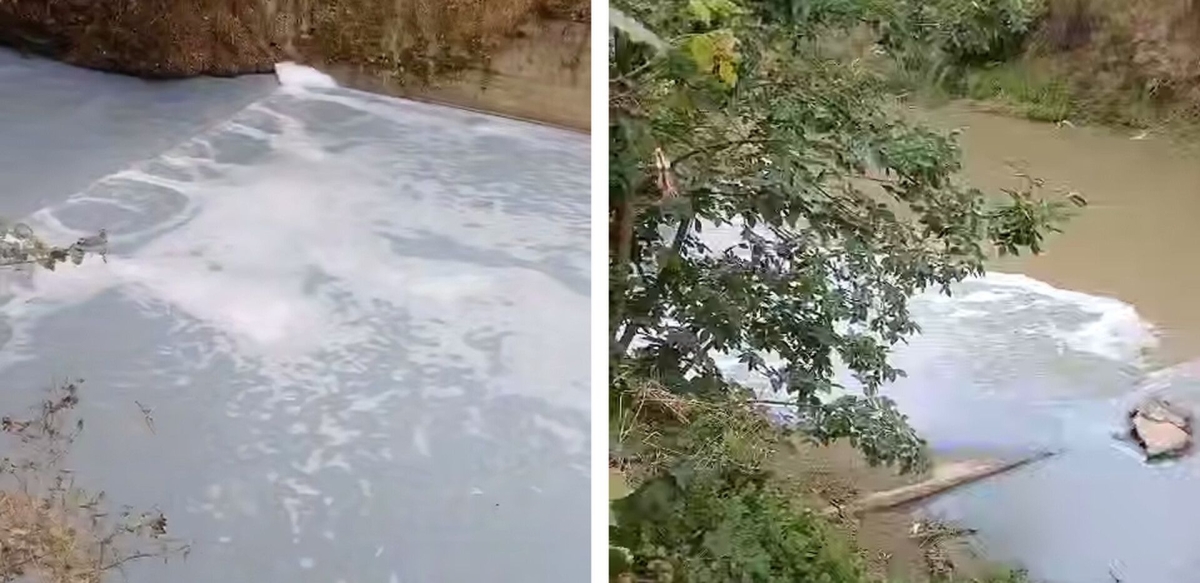 На Ставрополье выясняют источник загрязнения реки Кума На Ставрополье выясняют источник загрязнения реки Кума