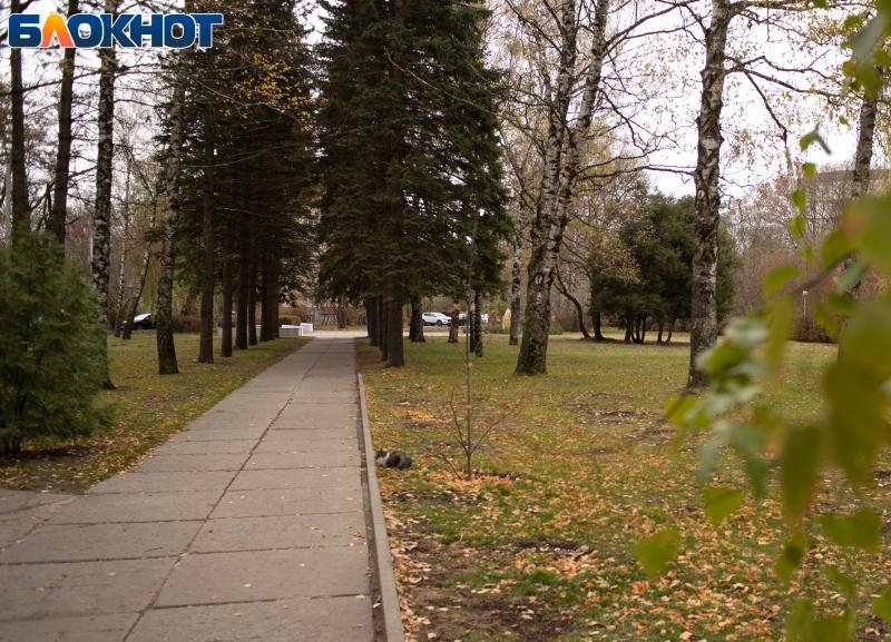 Очередные капризы погоды пообещали 26 ноября в Ставропольском крае