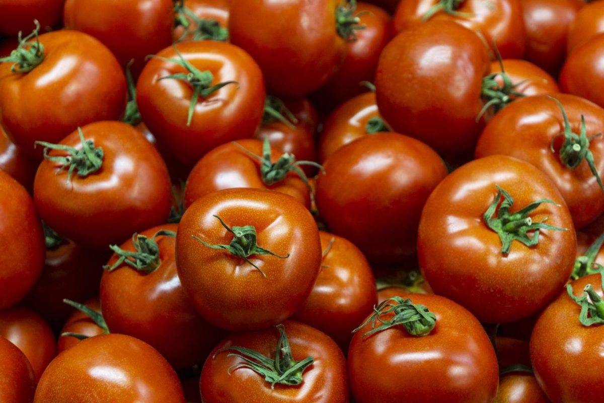 На Ставрополье резко выросли цены на помидоры На Ставрополье резко выросли цены на помидоры