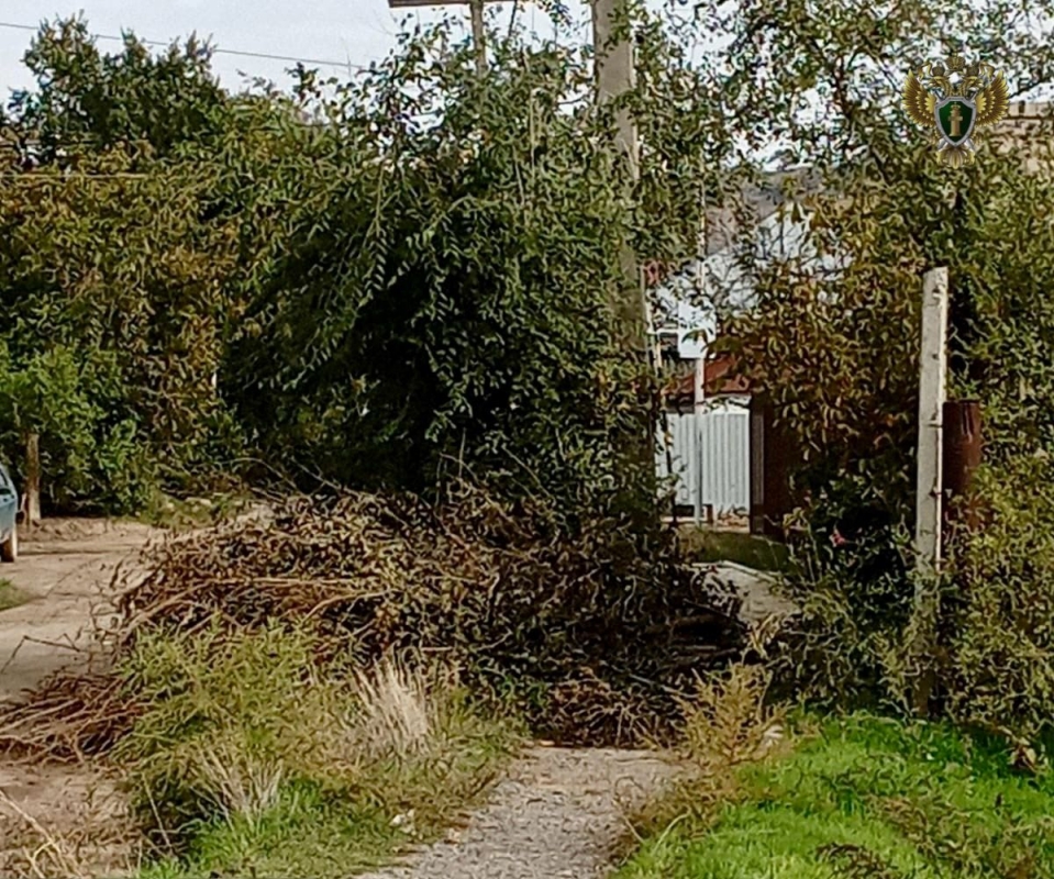 В Светлограде после вмешательства прокуратуры ликвидировали свалку В Светлограде после вмешательства прокуратуры ликвидировали свалку
