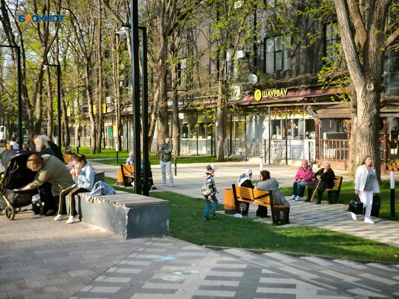 Обрезка деревьев оставит несколько улиц Ставрополя временно без света 7 августа Обрезка деревьев оставит несколько улиц Ставрополя временно без света 7 августа