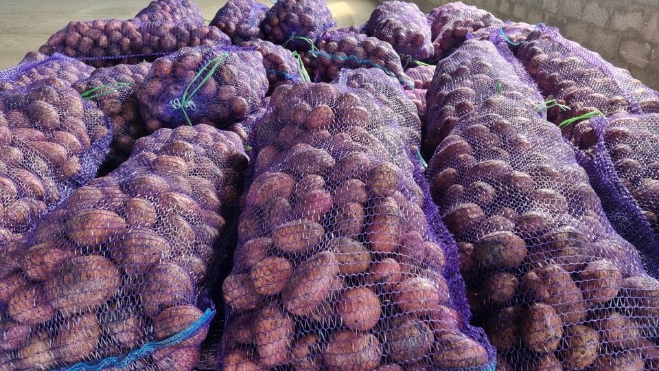 Участникам СВО передали тонну картофеля нового урожая из Предгорного округа
