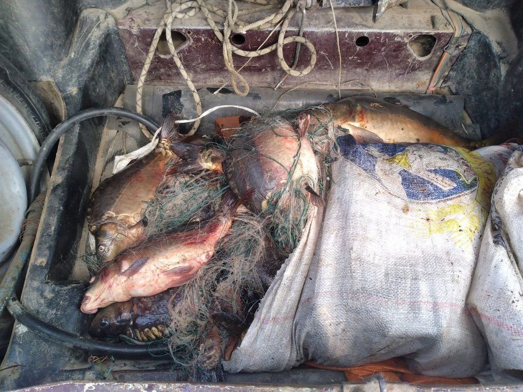 Ставропольца будут судить за кражу рыбы