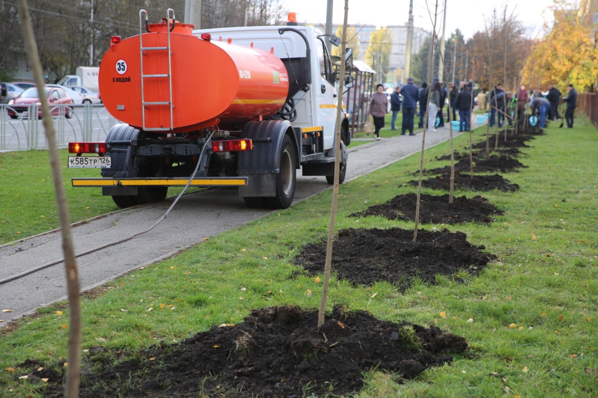 Более 700 деревьев высадили в Ставрополе на осеннем субботнике