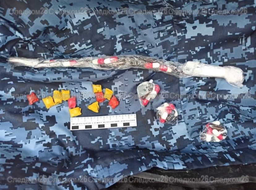 Бывший инспектор ставропольской колонии пытался пронести наркотики заключённому за 15 тыс. рублей Бывший инспектор ставропольской колонии пытался пронести наркотики заключённому за 15 тыс. рублей