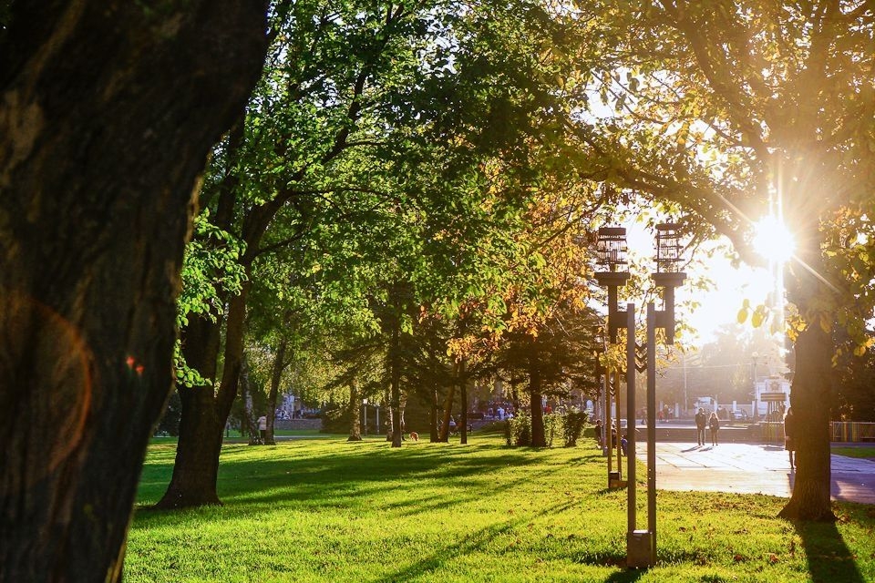 Тепло и ветрено будет в начале недели на Ставрополье