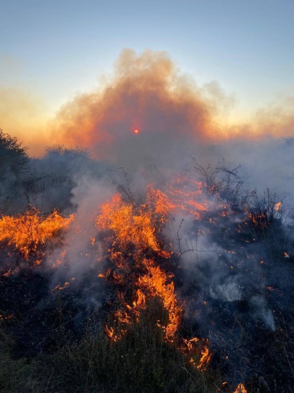 На Ставрополье потушили 23 ландшафтных пожара за сутки