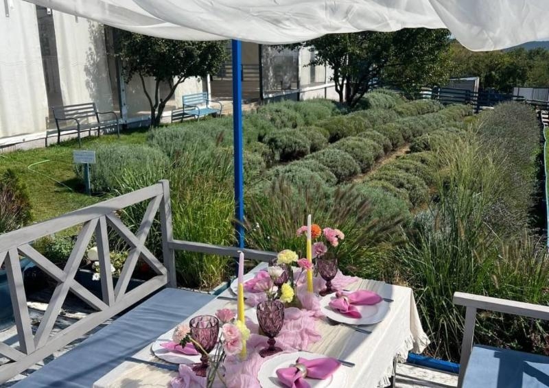 Скорее приобретай билеты и приезжай на ферму «Трава» Скорее приобретай билеты и приезжай на ферму «Трава»