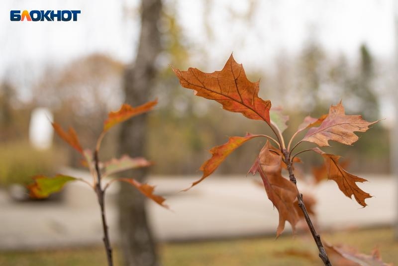 Стремительное похолодание до +4 градусов грядет на Ставрополье