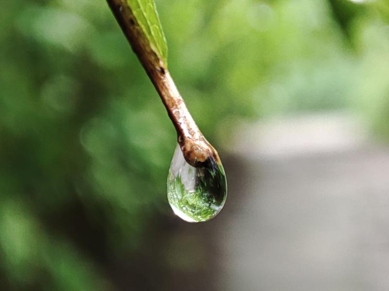 Прохладную ночь и дождливый день пообещали синоптики 10 августа Прохладную ночь и дождливый день пообещали синоптики 10 августа