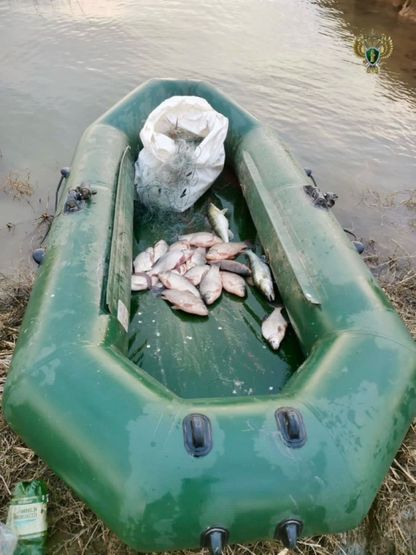 На Ставрополье браконьеры заплатят за незаконный вылов почти 400 карасей На Ставрополье браконьеры заплатят за незаконный вылов почти 400 карасей