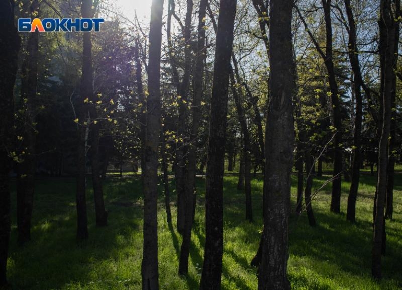 С жары до +30 градусов и сильных дождей начнется новая неделя на Ставрополье