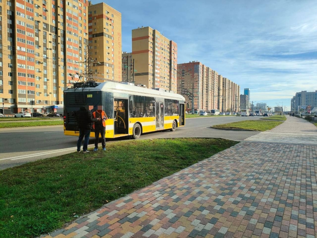 Школьник разбил нос из-за экстренного торможения троллейбуса в Ставрополе Школьник разбил нос из-за экстренного торможения троллейбуса в Ставрополе