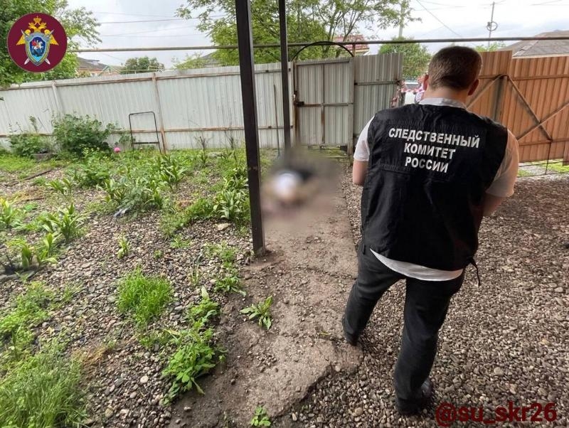 За убийство бойца СВО из-за его замечания алабаю ставрополец получил 8,5 лет